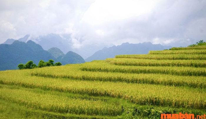 Pù Luông là một phần của tỉnh Thanh Hóa