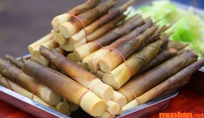 Măng rừng là món ăn hấp dẫn, mang đậm hương vị tự nhiên của núi rừng.