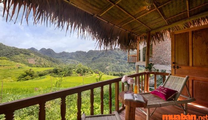 Puluong Natura Bungalow với tiêu chuẩn 4 sao, mang đến không gian nghỉ dưỡng sang trọng, tiện nghi và gần gũi với thiên nhiên.