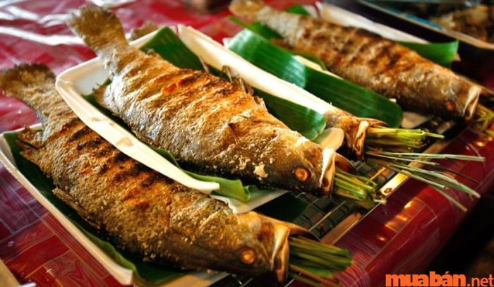 Cá suối nướng là món ăn tuyệt vời mà bạn không thể bỏ lỡ khi đến Pù Luông.
