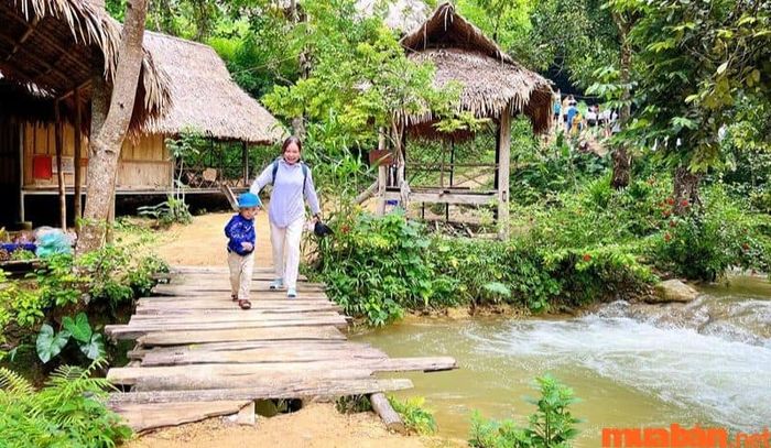 Dựa theo kinh nghiệm du lịch Pù Luông, các tháng 5, 6, 9 và 10 là thời điểm tuyệt vời nhất để khám phá nơi đây.