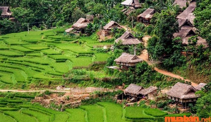 Nếu bạn yêu thích săn mây, Bản Son – Bá – Mười là một điểm đến lý tưởng để bạn chiêm ngưỡng và ghi lại những khoảnh khắc tuyệt vời.