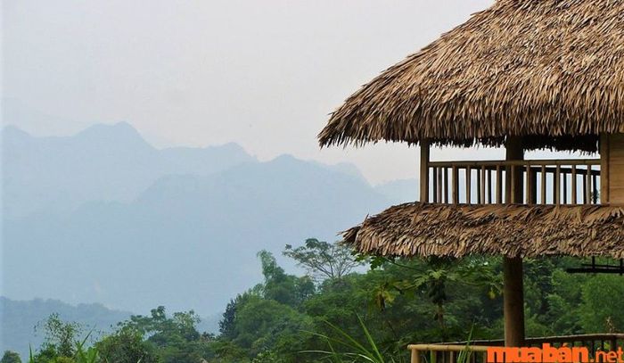 Pù Luông Nature Home mang đến không khí trong lành, dễ chịu, là sự lựa chọn hoàn hảo cho những ai muốn tìm kiếm sự tĩnh lặng.