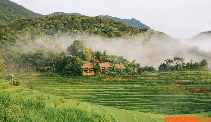 Ở Bản Kho Mường, bạn có thể thưởng thức những món đặc sản hấp dẫn của Pù Luông, đem lại trải nghiệm ẩm thực độc đáo và đậm đà hương vị địa phương.