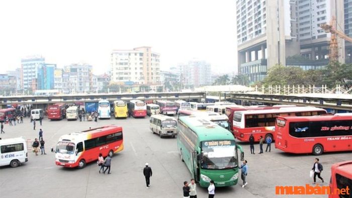 Cẩm nang du lịch Tam Đảo 2 ngày 1 đêm