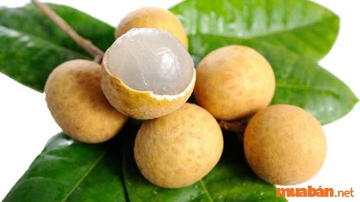 Nhãn Châu Thành – Vị ngọt ngào, tự hào của Đồng Tháp
