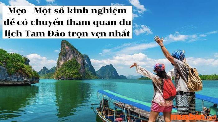Kinh nghiệm du lịch Tam Đảo 2 ngày 1 đêm