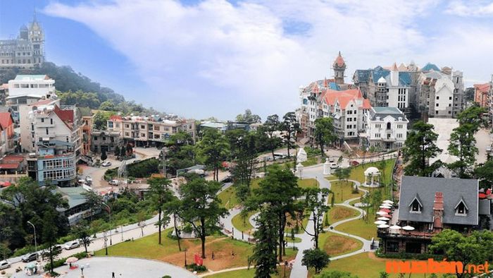 Kinh nghiệm du lịch Tam Đảo trong 2 ngày 1 đêm