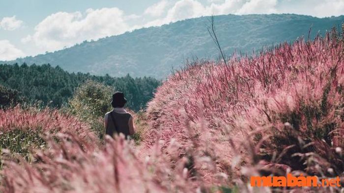 Đức Trọng có gì để khám phá?