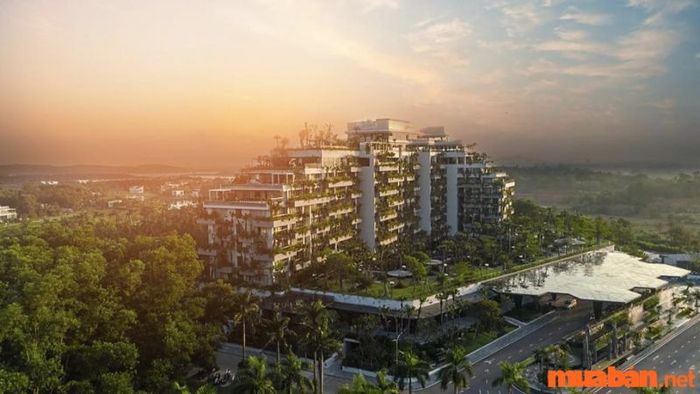 Kinh nghiệm du lịch Tam Đảo 2 ngày 1 đêm