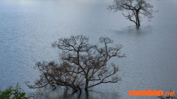 Đức Trọng có những điểm đến thú vị nào?