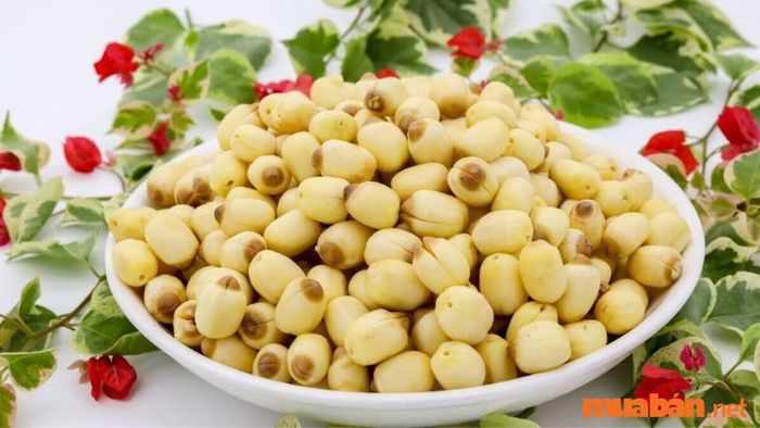 Hạt sen khô – Đặc sản Đồng Tháp tinh túy