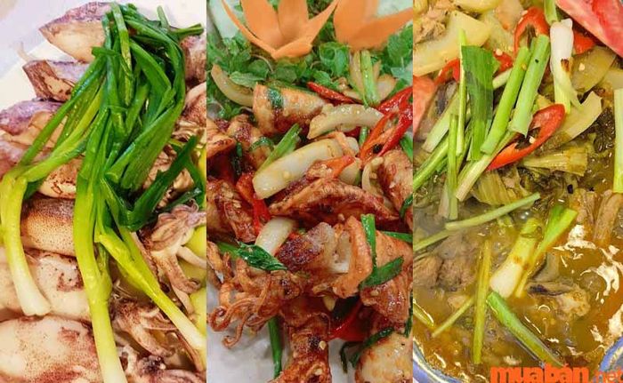 Quán nhậu sinh viên đêm A Tùng là lựa chọn lý tưởng cho các bạn trẻ yêu thích không khí sôi động, đặc biệt là khi đến Đà Nẵng du lịch