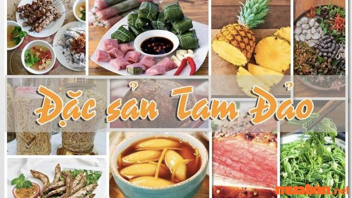 Kinh nghiệm du lịch Tam Đảo 2 ngày 1 đêm