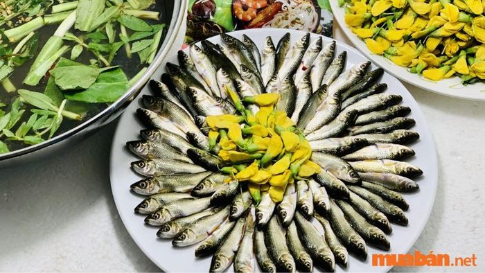 Lẩu cá linh hoa điên điển – Món đặc sản nổi bật của Sa Đéc