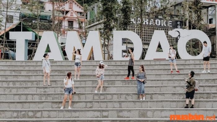 Hướng dẫn du lịch Tam Đảo trong 2 ngày 1 đêm
