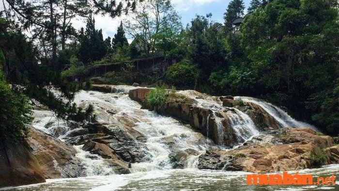 Đức Trọng có gì chơi?