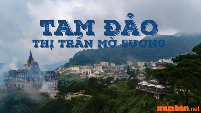 Hướng dẫn du lịch Tam Đảo 2 ngày 1 đêm