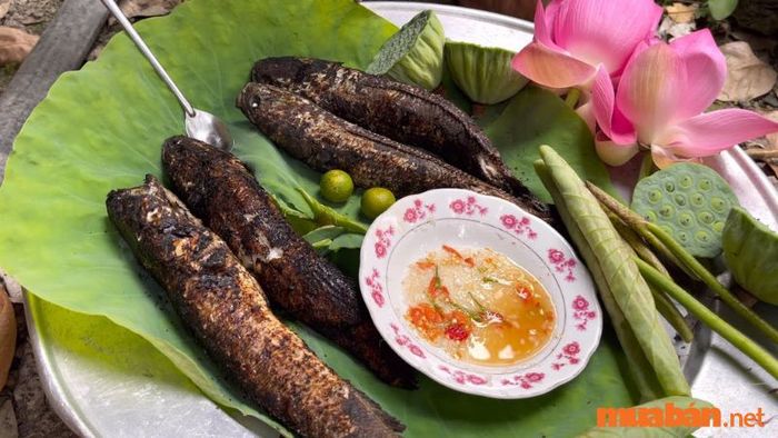 Cá lóc nướng cuốn lá sen non, một món ăn giản dị nhưng đặc sắc của Sa Đéc