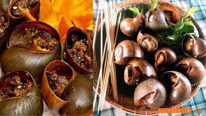 Ốc treo giàn bếp – Đặc sản Sa Đéc nổi danh