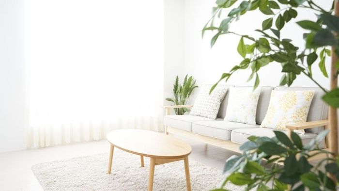 Phòng khách theo phong cách tối giản, lý tưởng cho những người yêu thích không gian yên tĩnh và hướng nội.