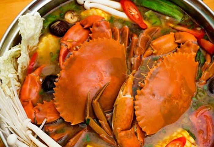 Lịch trình du lịch Đồng Tháp tự túc 2 ngày 1 đêm - một hành trình đáng nhớ