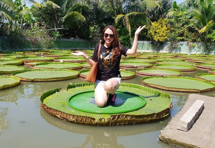 Lịch trình du lịch Đồng Tháp tự túc 2 ngày 1 đêm - những khám phá tuyệt vời