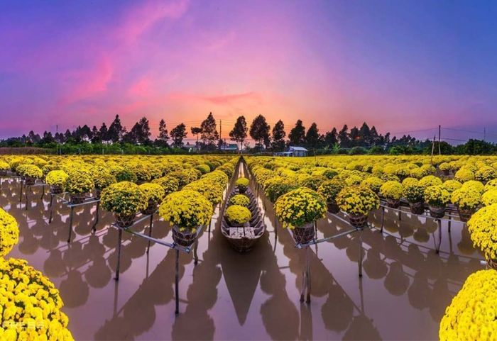 Lịch trình du lịch Đồng Tháp tự túc 2 ngày 1 đêm - những điểm đến không thể bỏ lỡ