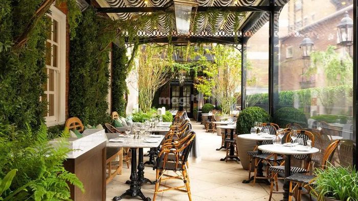 Thiết kế quán cafe sân vườn theo phong cách hiện đại, sang trọng, mang lại không gian vừa tinh tế vừa đẳng cấp.