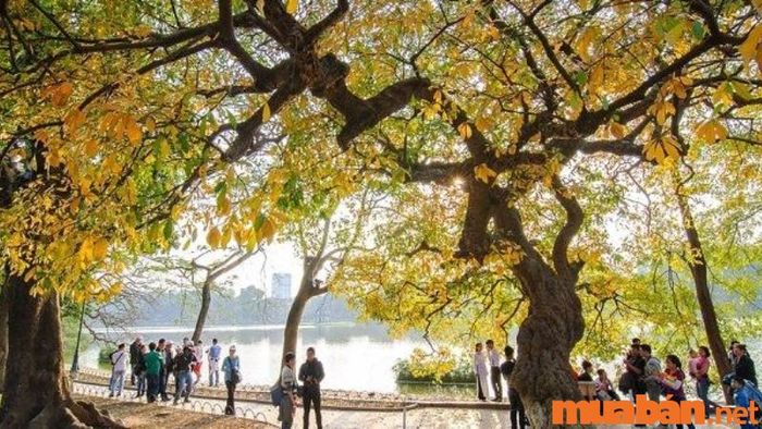Huế có gì chơi? Du lịch Huế mùa nào lý tưởng – Mùa du lịch biển