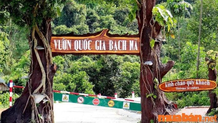 Huế có gì chơi - Vườn quốc gia Bạch Mã