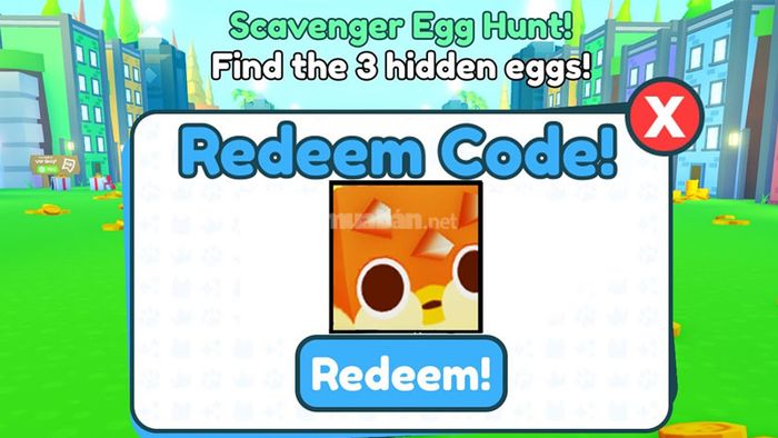 Những điều cần lưu ý khi nhập mã code