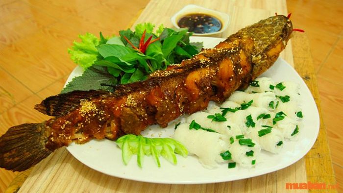 Cá Tràu Võ Cạnh