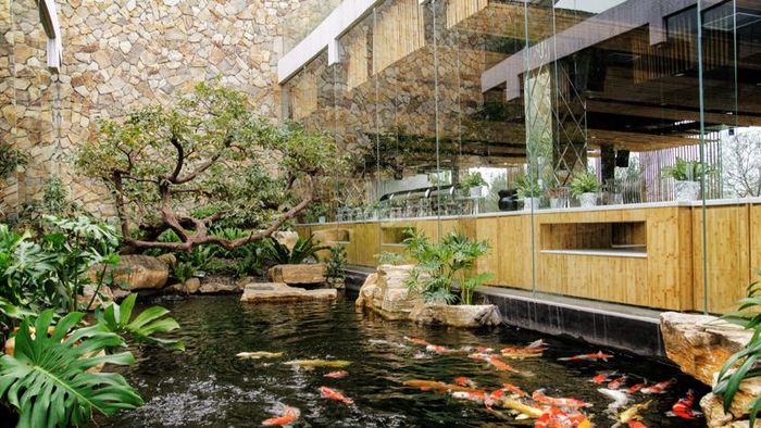 Thiết kế quán cafe sân vườn theo phong cách mở kết hợp hồ cá Koi sẽ mang đến không gian thư giãn, gần gũi với thiên nhiên, rất lý tưởng cho những khách hàng yêu thích sự yên bình và tĩnh lặng.