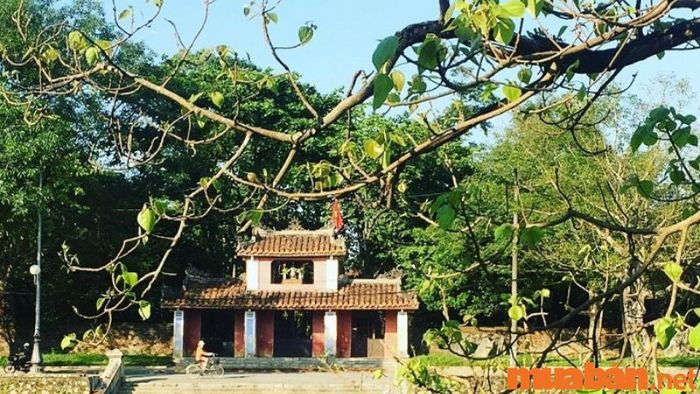 Huế có gì chơi - Chùa Diệu Đế