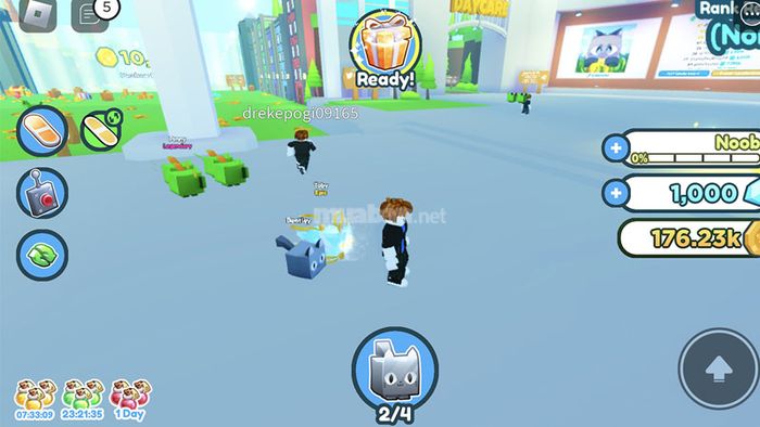 Những câu hỏi thường gặp về mã code Pet Simulator X