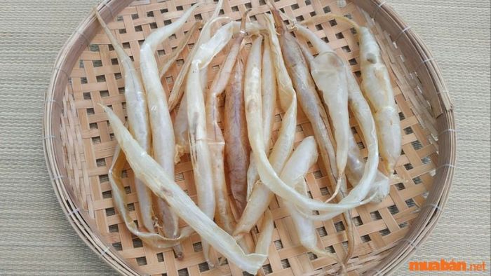 Bong bóng cá Nha Trang