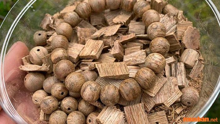 Trầm Hương Khánh Hoà