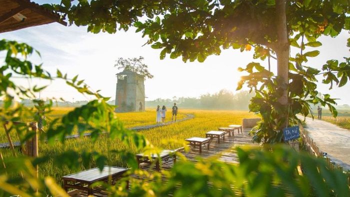 Quán cafe sân vườn theo phong cách đồng quê Việt Nam mang đến không gian thanh bình, thơ mộng, nơi bạn có thể cảm nhận được vẻ đẹp của thiên nhiên và những giá trị văn hóa lâu đời.
