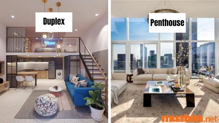 Sự khác biệt giữa căn hộ Duplex và Penthouse
