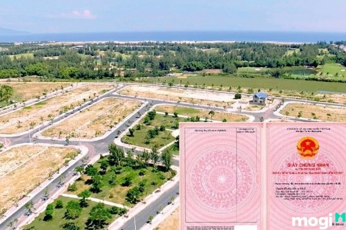 Quy trình mua bán đất nền dự án