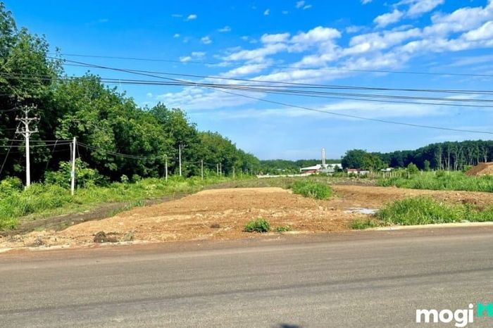 Đất nền dự án là gì? Để thực hiện mua bán đất nền dự án, phải tuân thủ đầy đủ các quy định của pháp luật.
