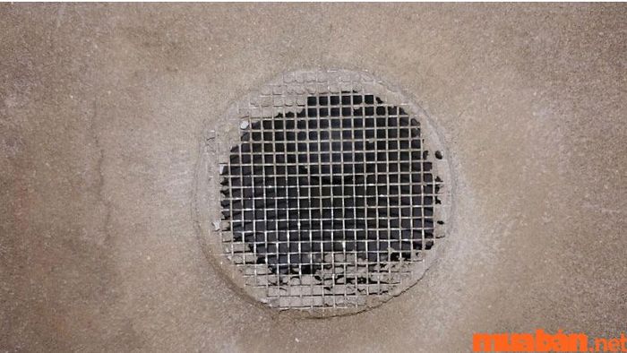 Cách thức bố trí hệ thống đối lưu không khí trong nhà nuôi yến