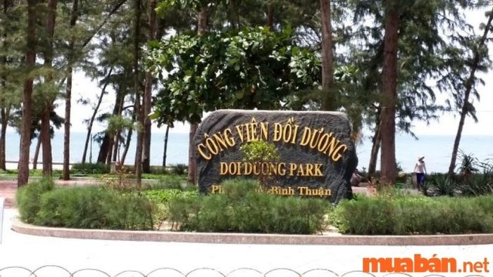 Đây là điểm check-in tuyệt vời, nơi bạn có thể thư giãn và tận hưởng vẻ đẹp thiên nhiên
