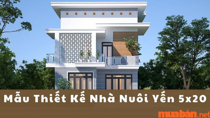 Nhà nuôi yến 5x20 kết hợp với không gian sống tiện nghi, đẹp mắt