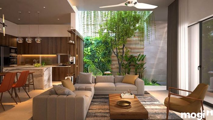 Mẫu Phòng Khách Nhà Ống Có Giếng Trời Đem Lại Không Gian Sáng Sủa Và Tươi Mới
