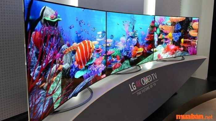 so sánh màn hình oled và amoled