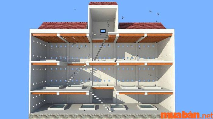 Mẫu nhà nuôi yến 5x20 thiết kế tiện dụng, hợp lý