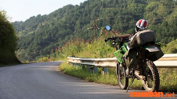 Rừng Chàng Riệc là một địa điểm lý tưởng cho các phượt thủ, nơi bạn có thể khám phá những con đường mòn, tận hưởng sự tĩnh lặng của thiên nhiên và trải nghiệm những điều thú vị mà ít nơi nào có được.