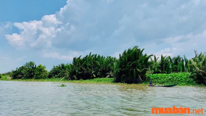 Vàm Cỏ Đông trên hành trình đi Tây Ninh